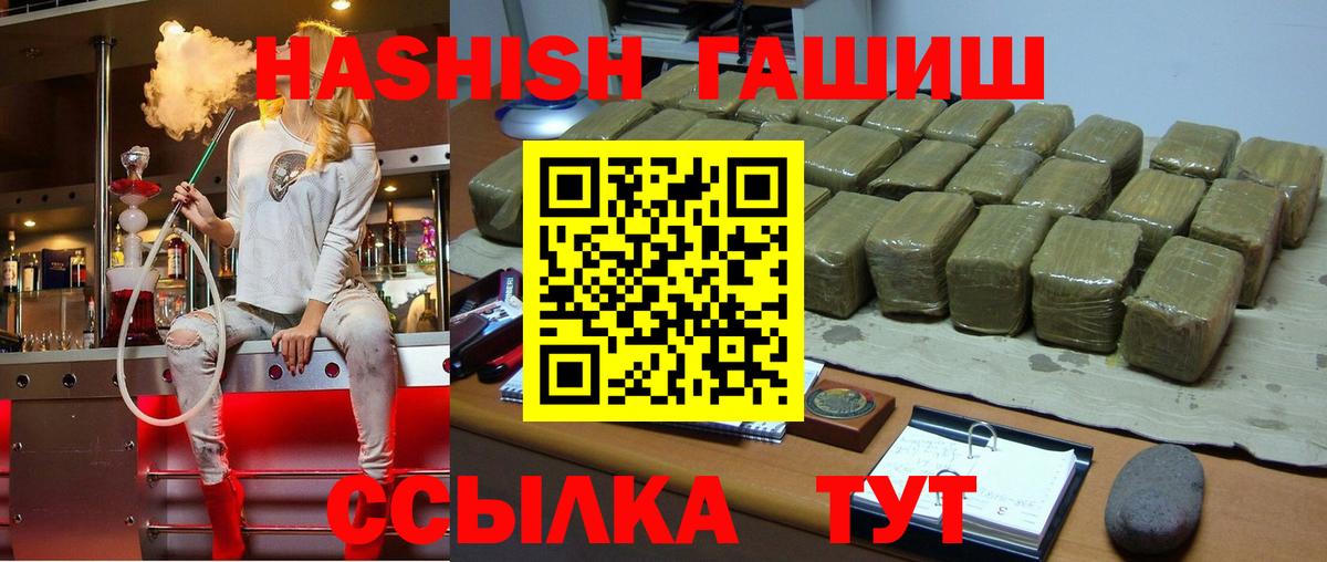 продажа наркотиков  Вход с VPN  Гашиш индика сатива  ГАШ  Новозыбков  ГАШ Premium 