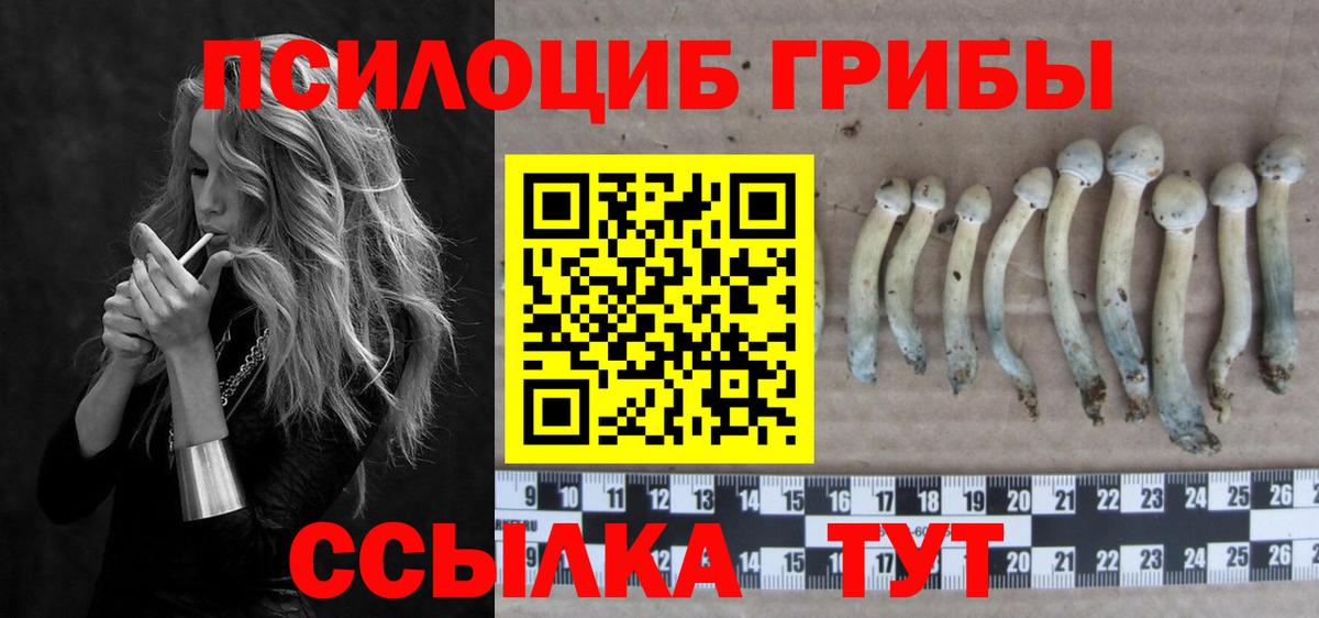 Псилоцибиновые грибы Cubensis  Вход с VPN  Галлюциногенные грибы мухоморы  Новозыбков 